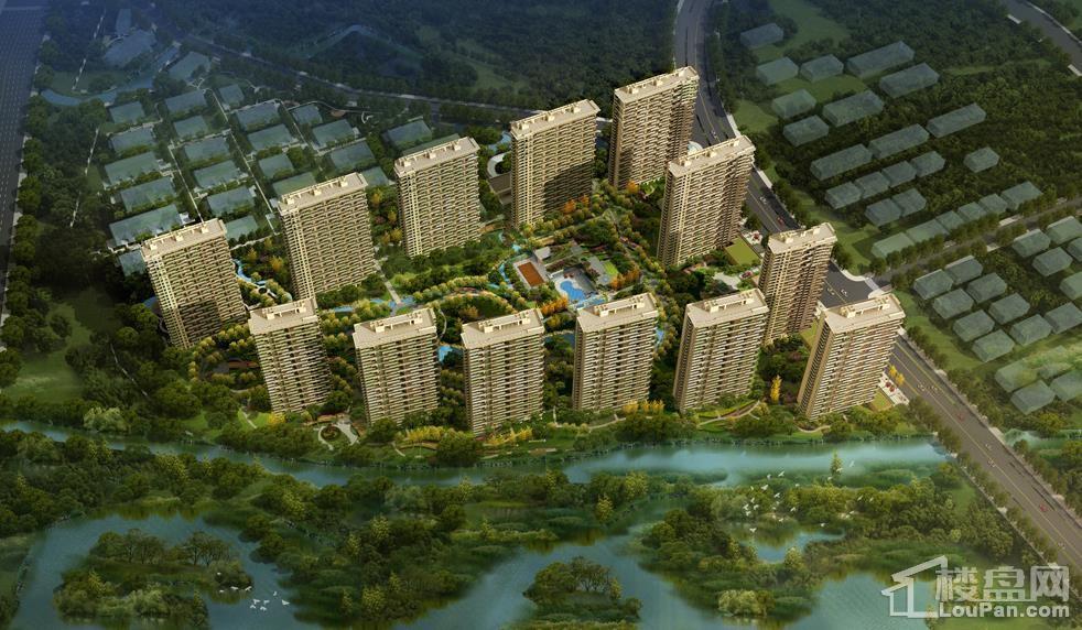 嘉兴新中国际最新房价揭秘，小巷深处的隐藏宝藏