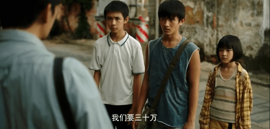 感人电视剧推荐，与自然共舞的奇妙旅程