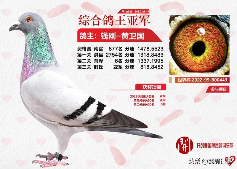 北京房价最新动态，梦想与现实交织的房价展望（2022年）