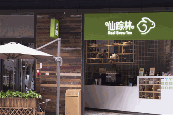 最新仙踪林视频入口指南，欢迎访问贰佰，详细步骤带你轻松观看