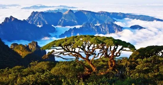 探寻自然美景之旅，最新消息揭秘，开启心灵宁静之旅的600880之旅
