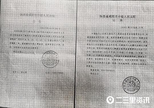 咸阳女皇实业