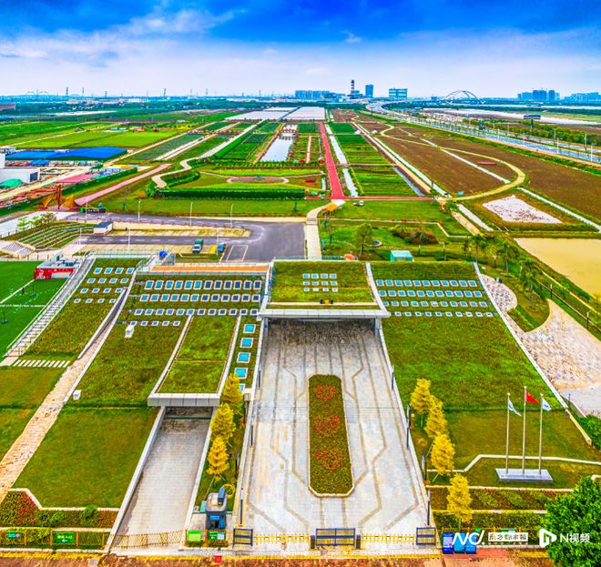 广州市南沙区自然美景之旅，探寻最新新闻与内心宁静的胜地