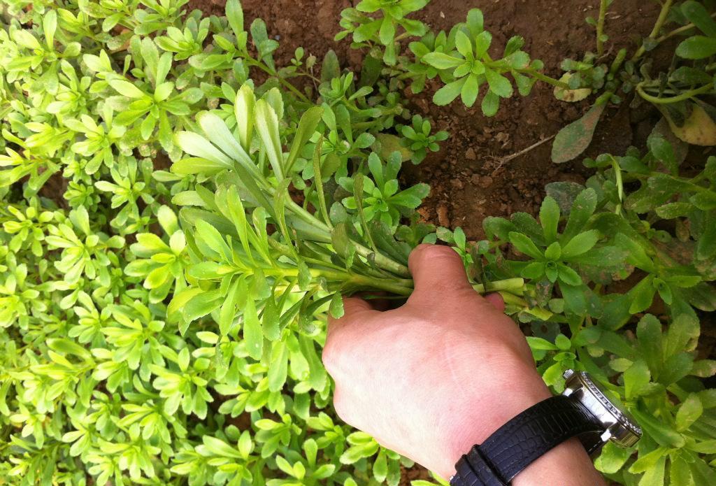 心脑血管疾病最新数据