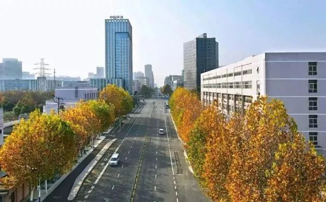 石河子高新区