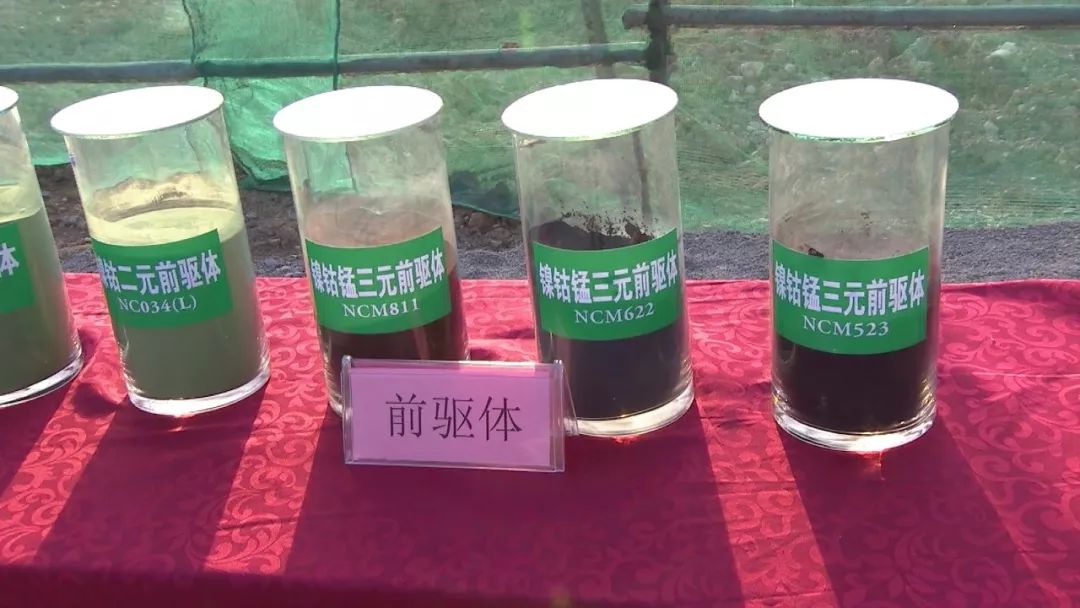 钴最新价格，背景、动态、领域地位全面解析