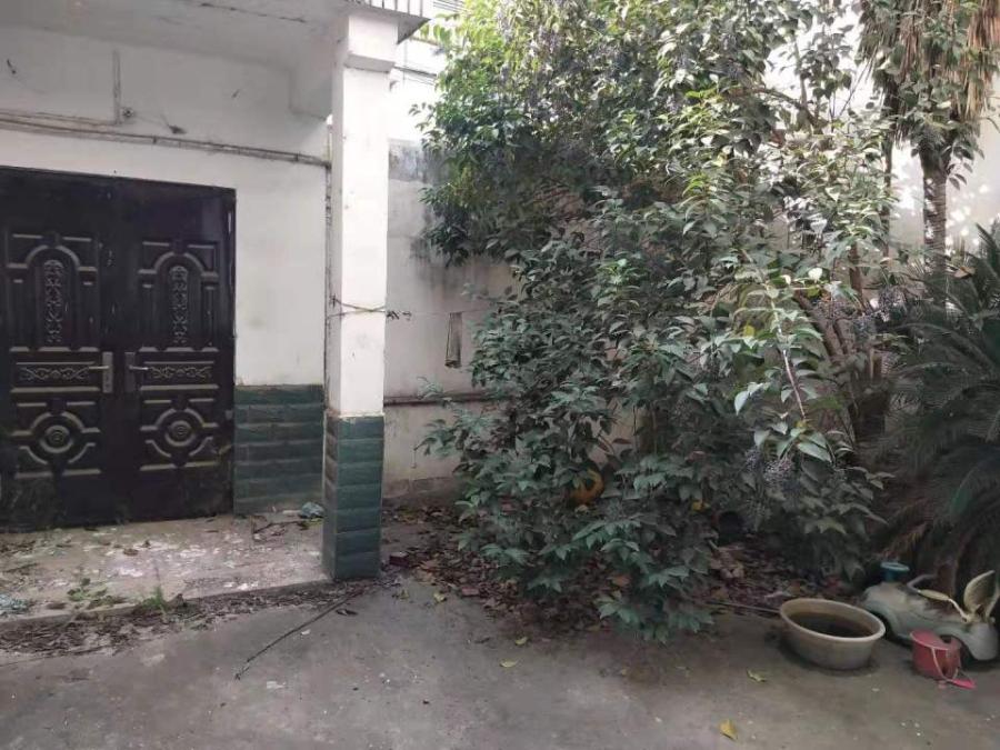 新野最新独院房信息,新野最新独院房信息大揭秘🏡✨