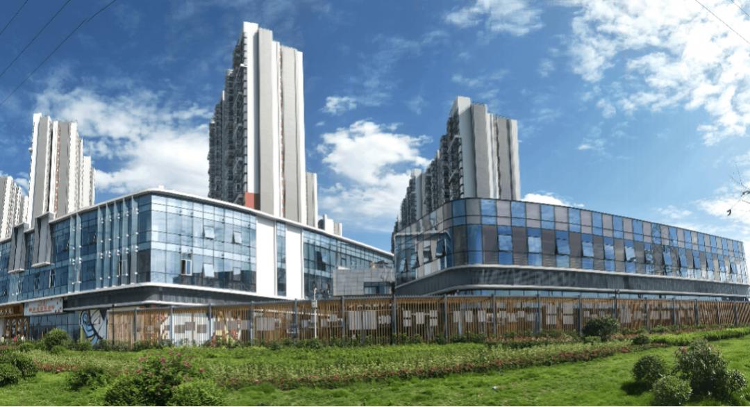 青白江大同镇最新发展规划概览