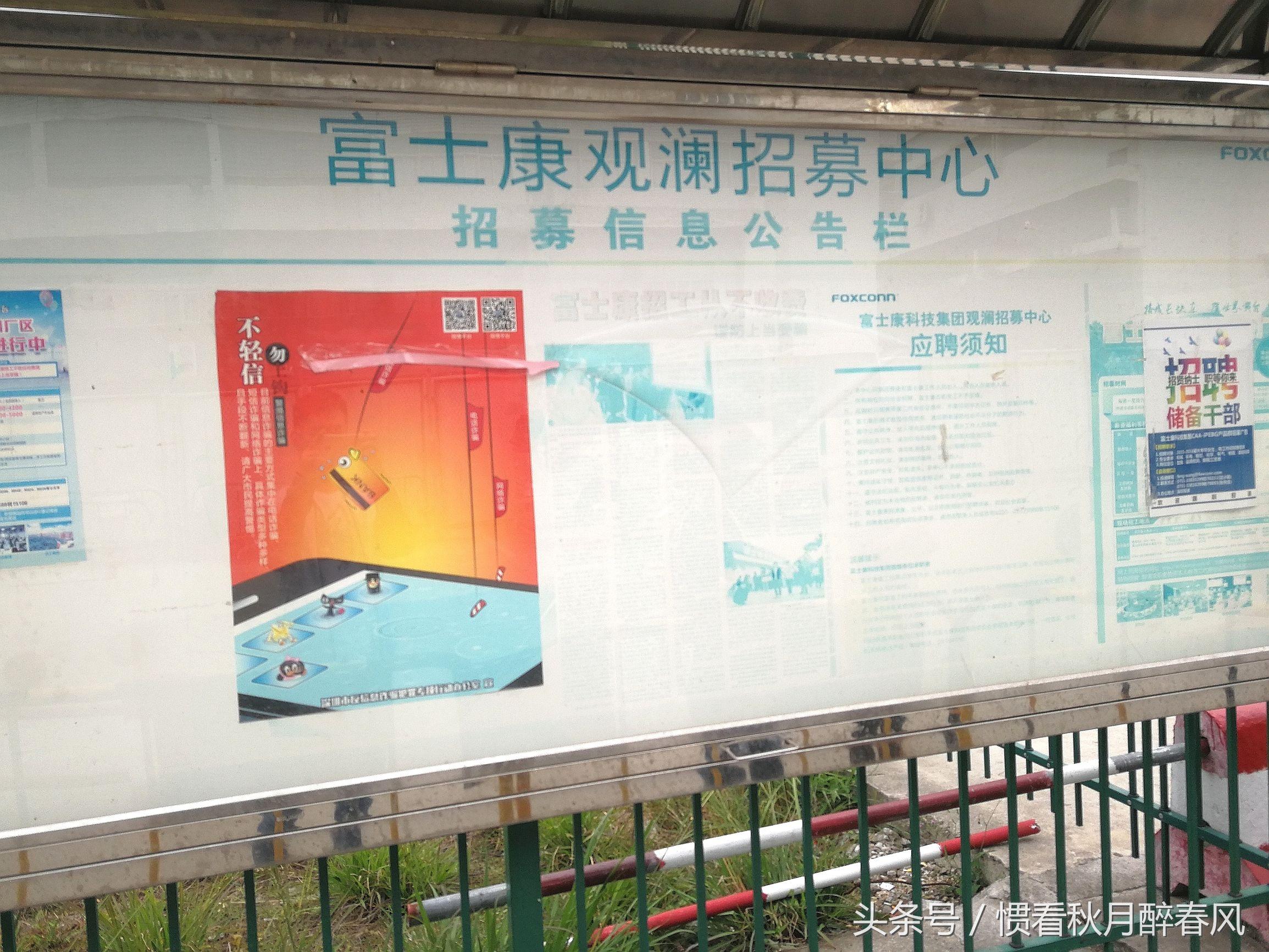 深圳观澜最新招聘信息概览发布，求职者的福音！