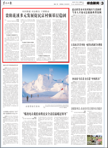 林美玲最新热点，公众关注下的多元视角探讨