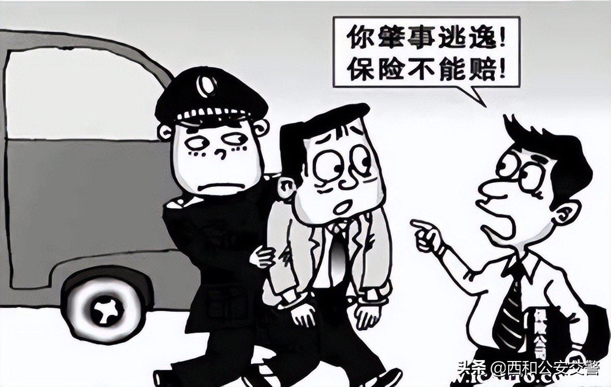 肇事逃逸最新规定，法律守护公正与正义的行动准则