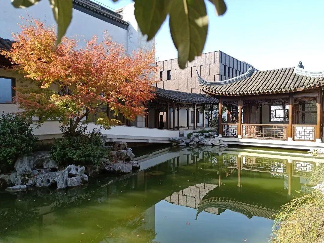 秋霞最新电影院，光影之梦的时代回响