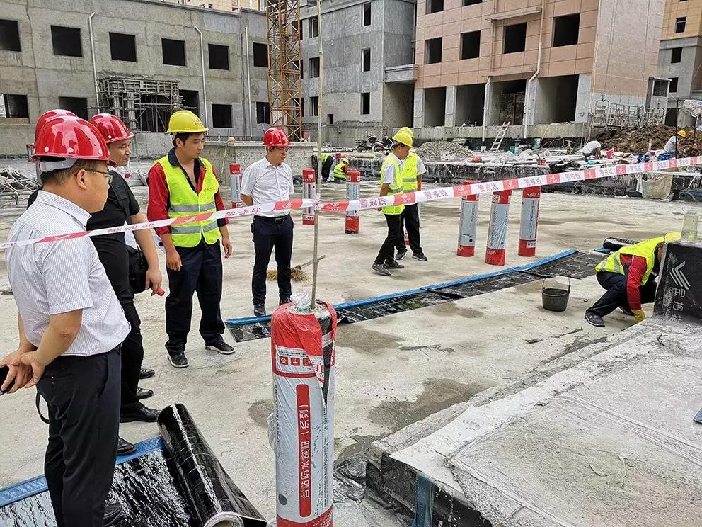 新蔡县最新招聘信息，变化带来自信，学习铸就未来职场之路
