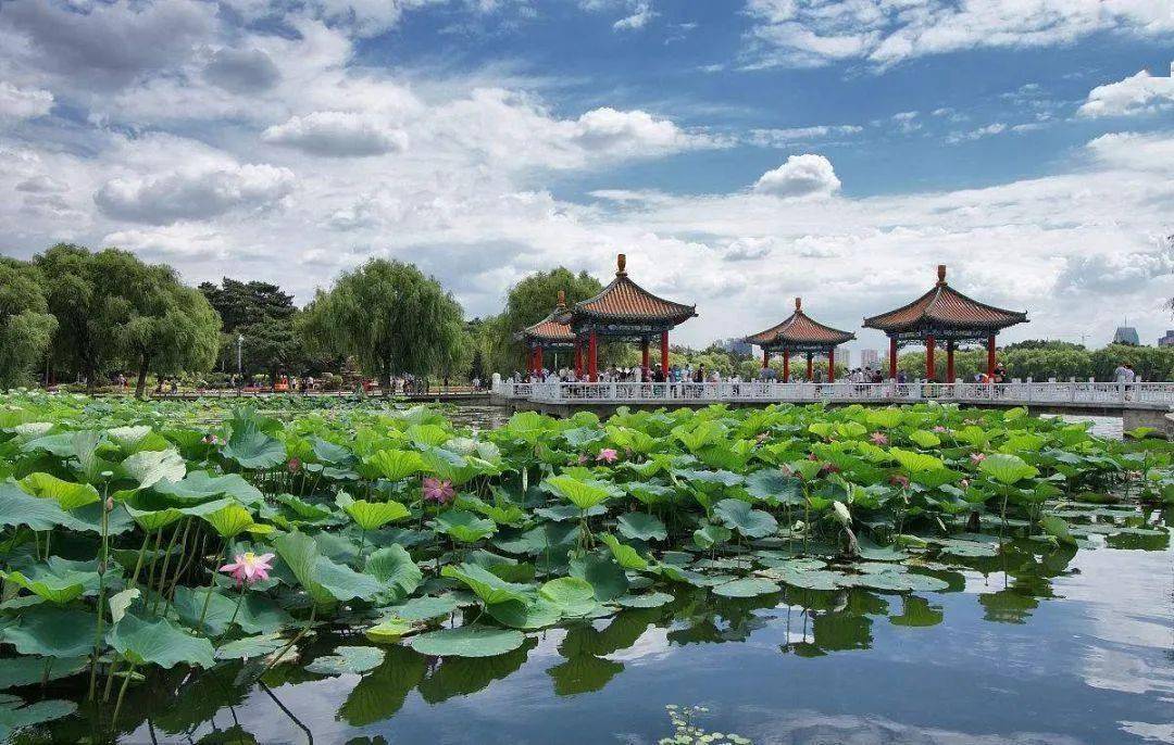 白城招聘网最新招聘，启程探索自然美景的职业之旅