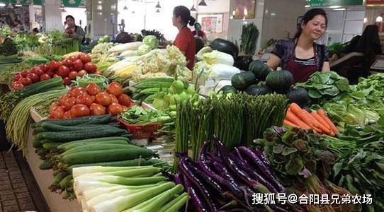 菜市场蔬菜最新价格，欢乐交响曲开启