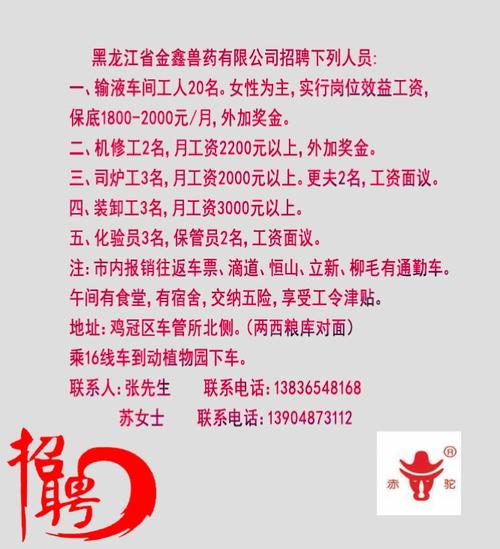 榆树最新招聘信息，小巷中的就业机会揭秘