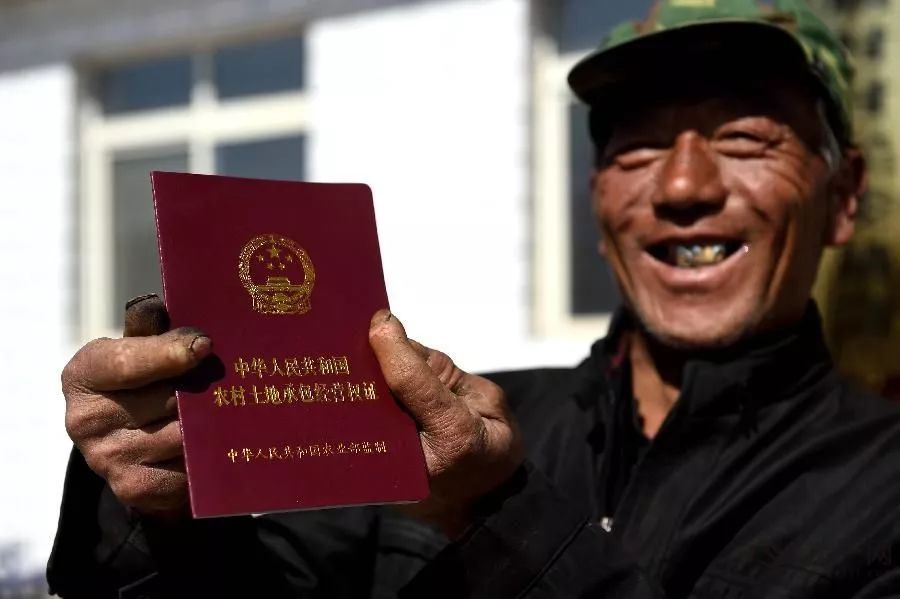 协警最新动态概览，全面审视与观点阐述