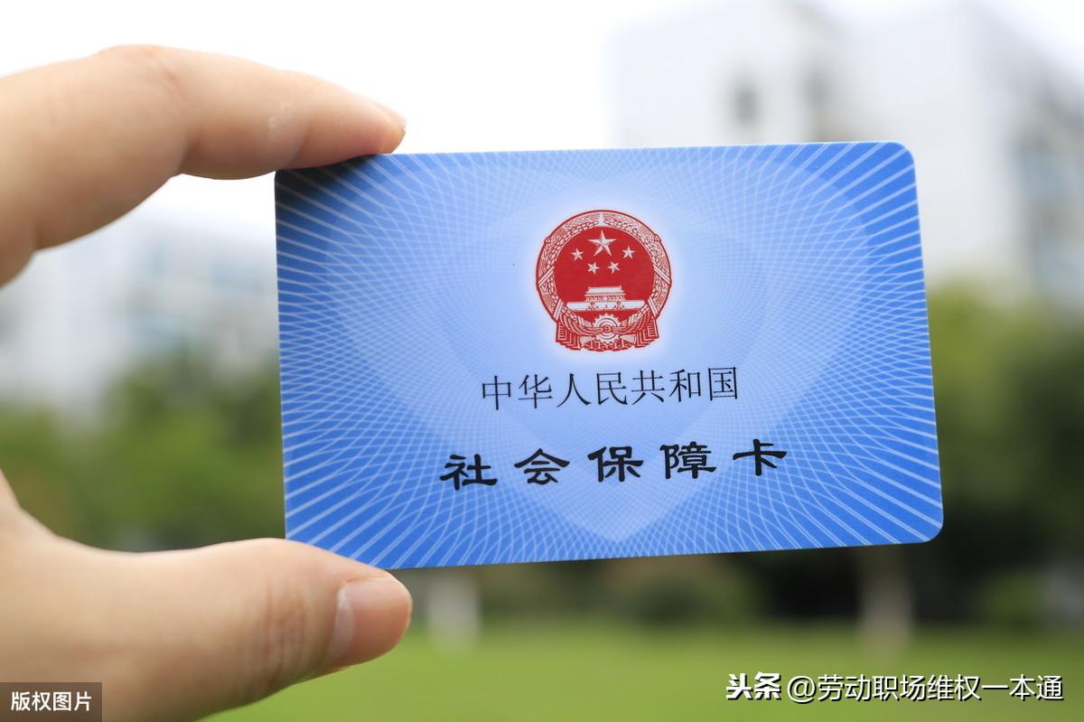 最新劳动法试用期,最新劳动法试用期，一场自然美景的探索之旅