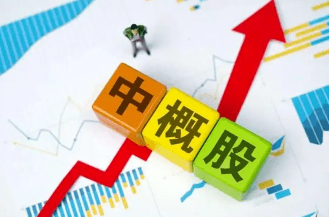 中路股份最新动态