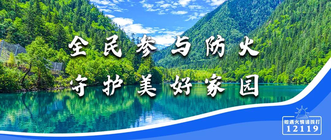 西昌市最新招聘,西昌市最新招聘，职业发展的理想选择