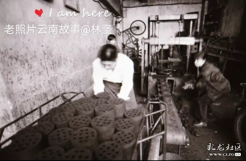 小巷深处的独特小店命运