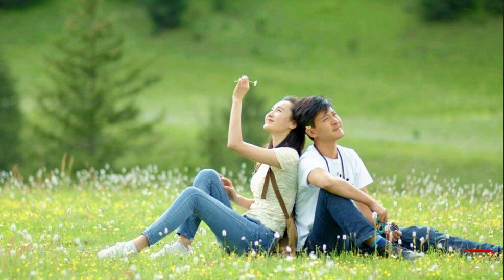 最新性喜剧，轻松探索自然美景之旅