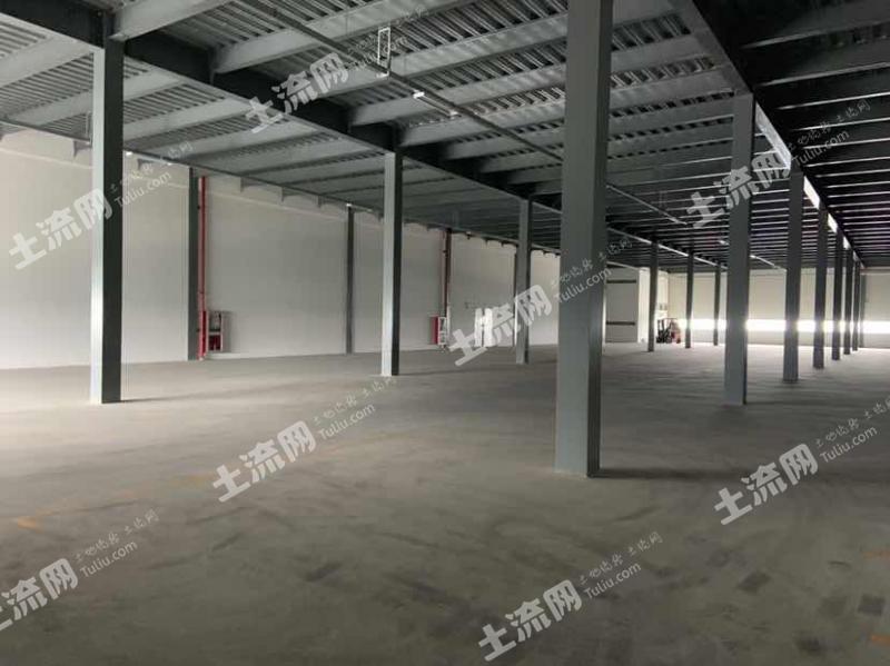 龙港厂房出租最新信息及专业解读，优质选择等你来发现！