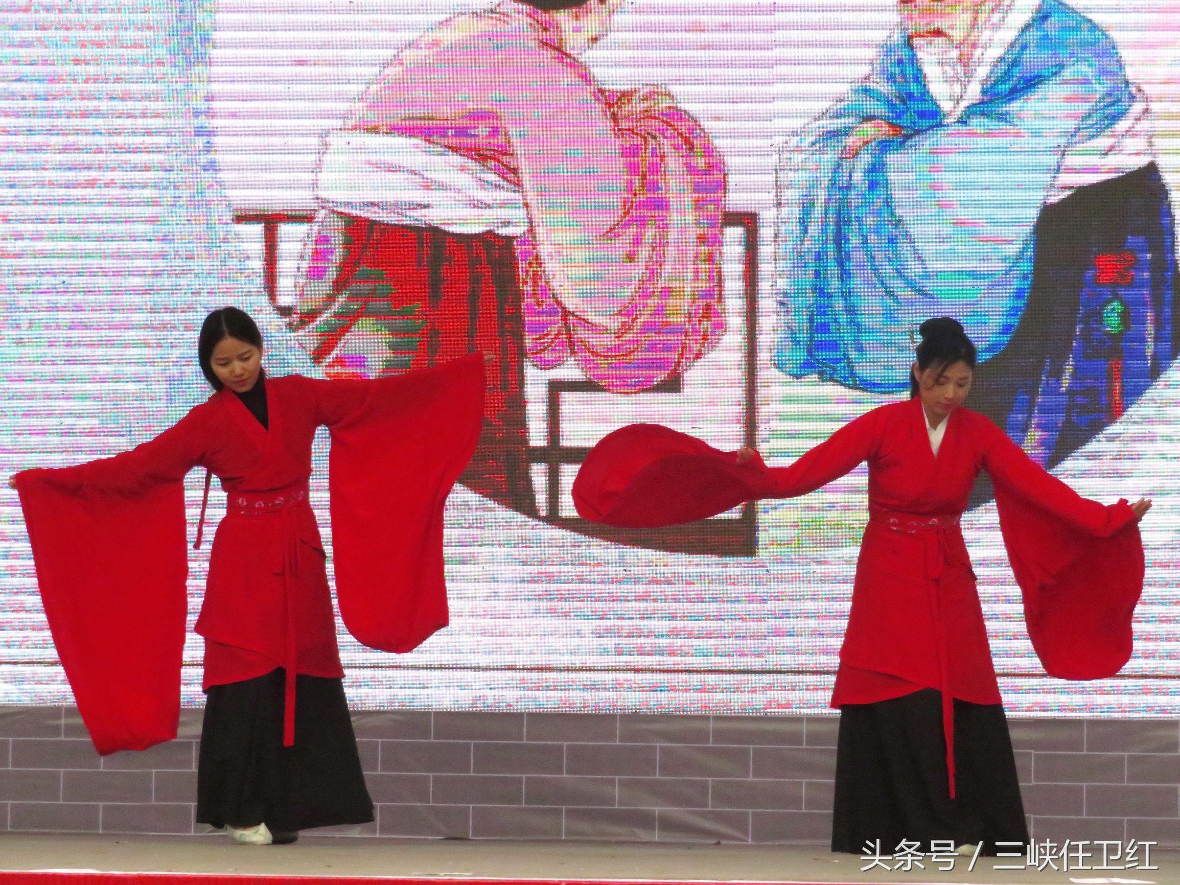 探索自然美景的治愈之旅，最新电影伦理与内心平和的追寻