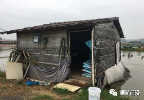 鳜鱼养殖最新技术,鳜鱼养殖最新技术，从池塘到富饶的蓝色金矿，探索变革的力量