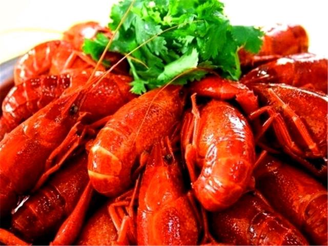 科技与娱乐的完美结合，快乐大本营最新一期引领全新生活风潮