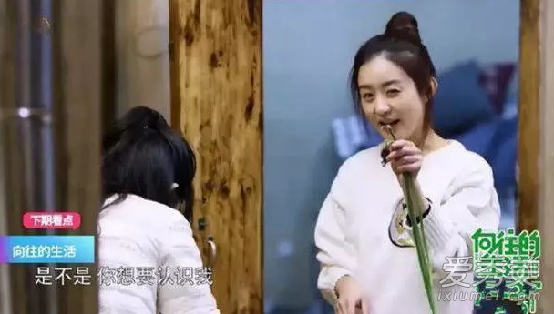 谢娜最新电影，多维度视角与观点碰撞的佳作赏析