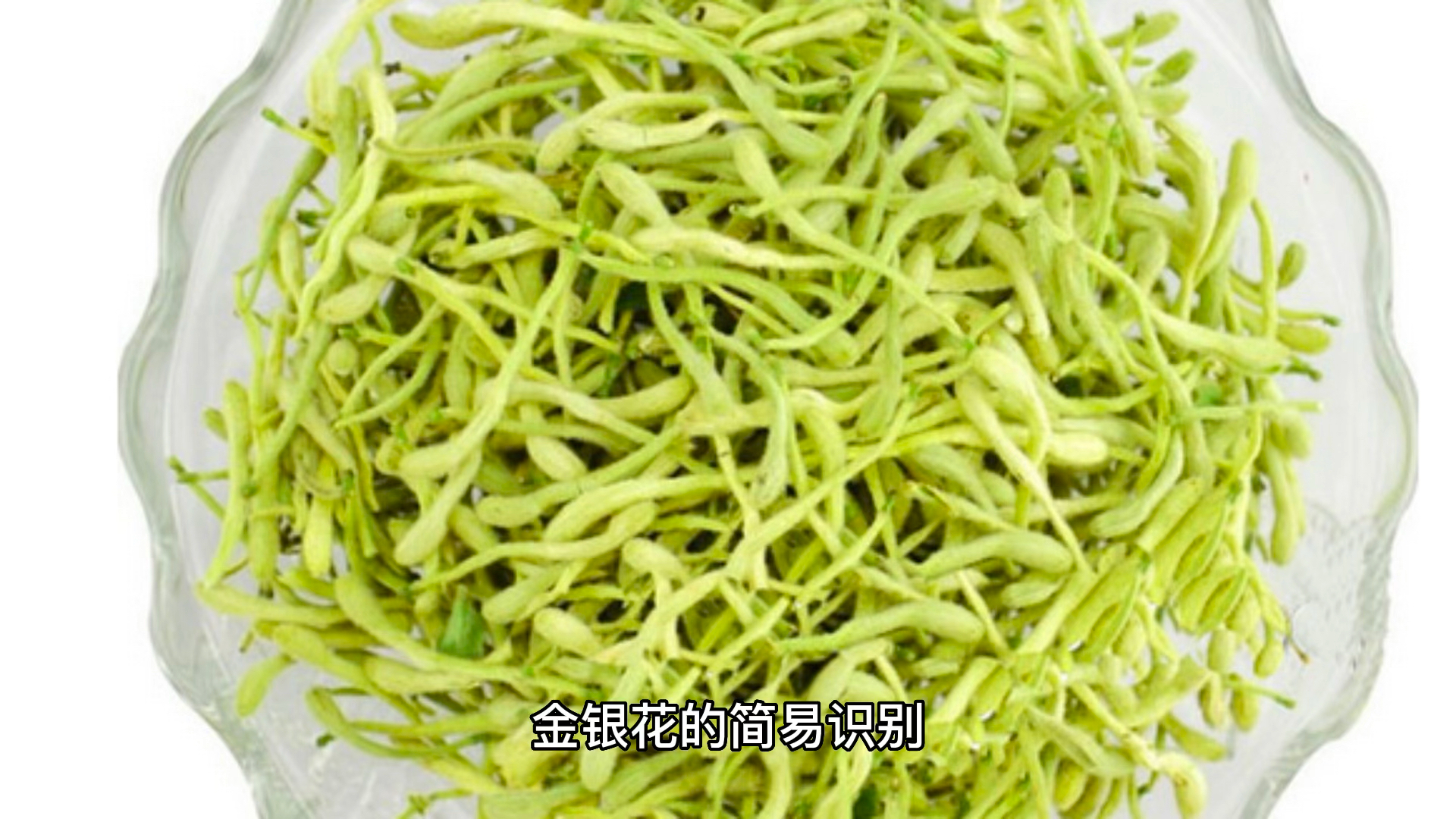 金银花最新价格动态，小红书上的价格分享