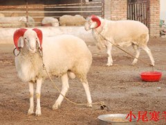 电子产品 第8页