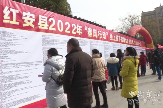 红安县最新招聘信息，科技驱动未来，智能工作生活新选择