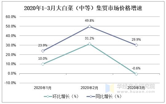 大白菜最新批发价格行情更新