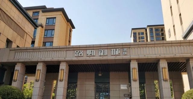 洛阳路劲御城最新动态揭秘，小巷深处的独特风味探秘