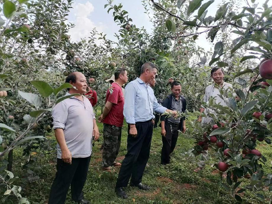 富民县李都的最新动态报道