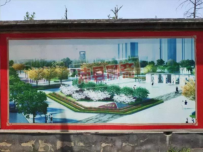 中江公园一号最新动态，学习力量与自信种子的蜕变