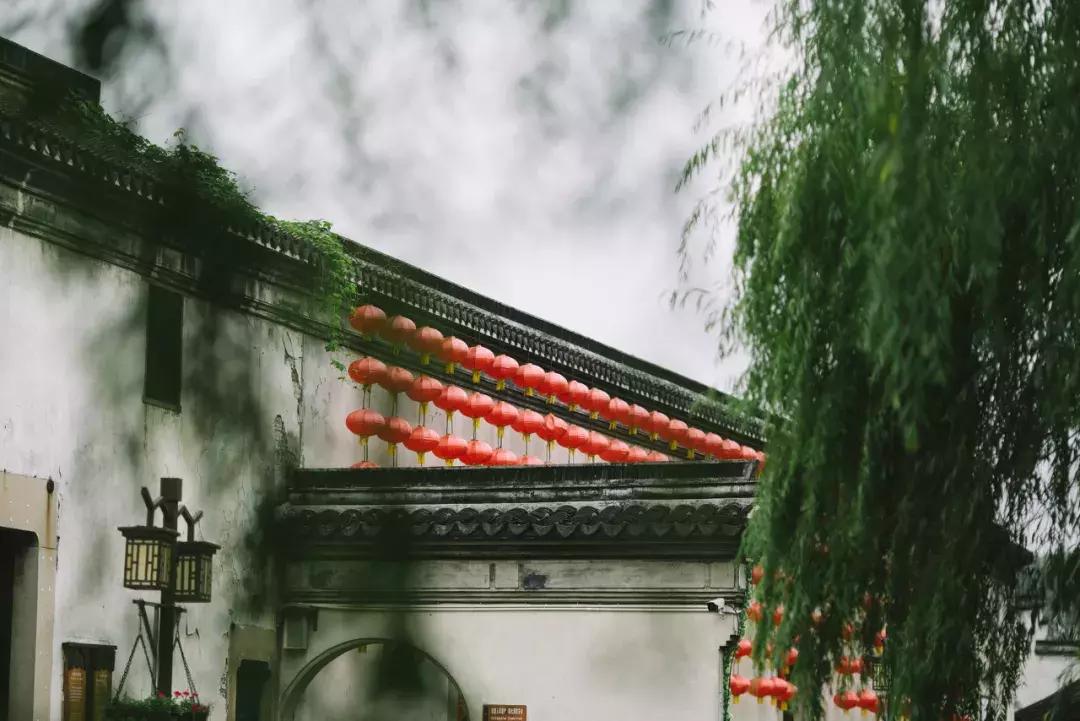 云南省南华县小巷深处的最新独特味道新闻