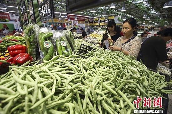 洋白菜最新市场价格动态，洞悉变化，助力自信与梦想实现之路