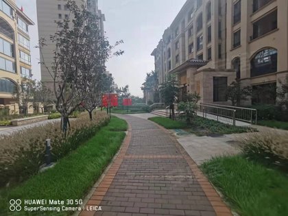 国赫金悦府最新消息大全，全面解读最新动态与指南