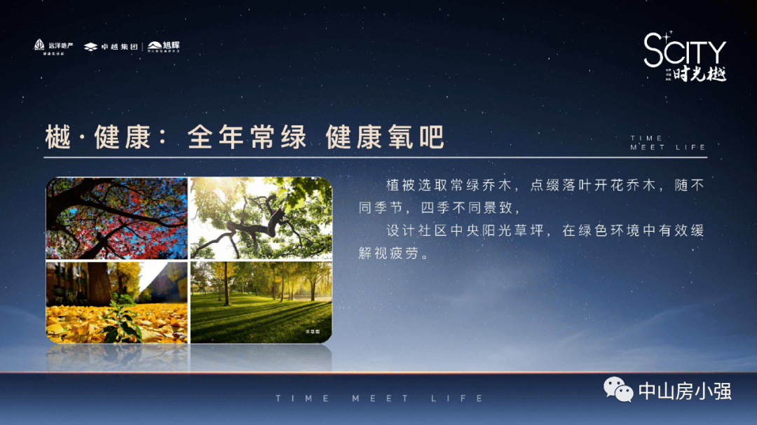深度解析与探讨