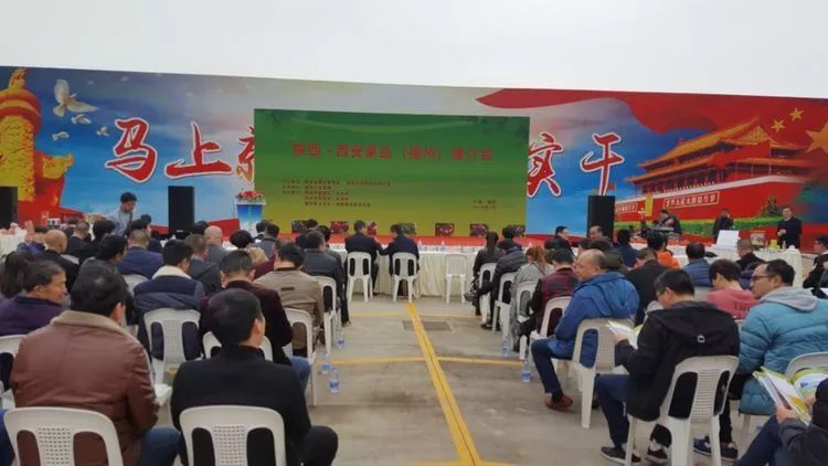 西安最新招聘会，成长中的挑战，自信与成就感的源泉