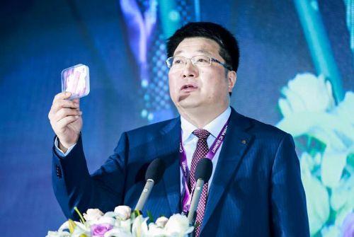 紫光集团最新动态及相关论述概述
