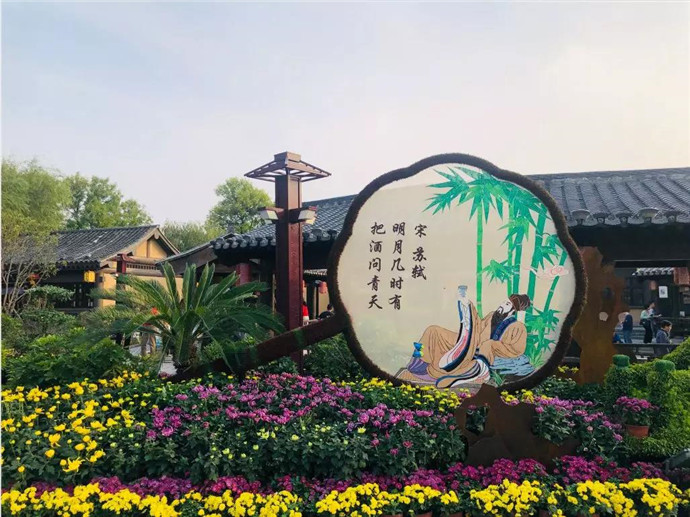 百万葵园最新门票价，启程探索自然美景的旅程