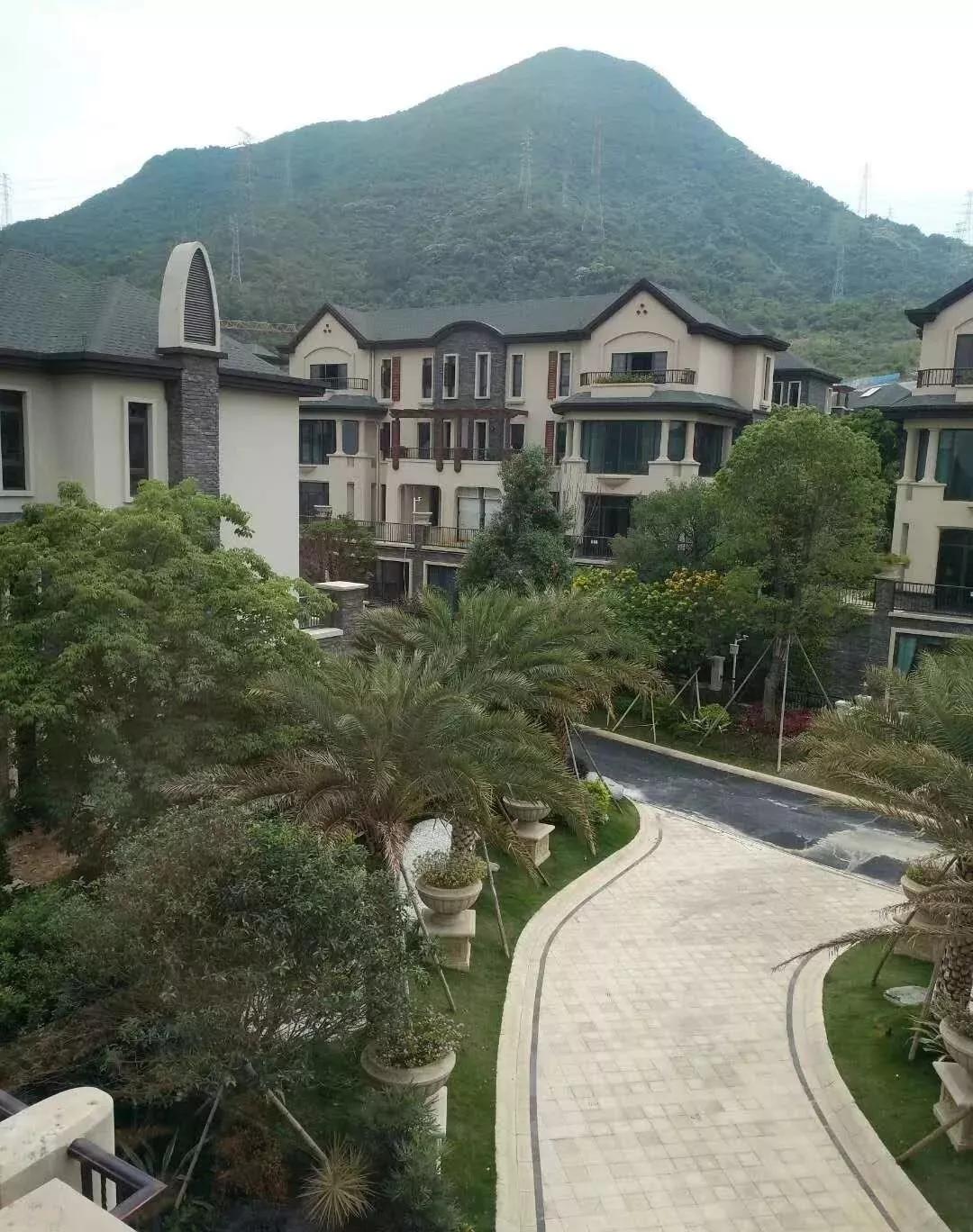 嘉鱼最新招聘热线,嘉鱼最新招聘热线——职场人的新航标