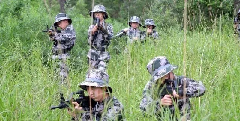 最新野战门,最新野战门，一场与自然美景的轻松邂逅