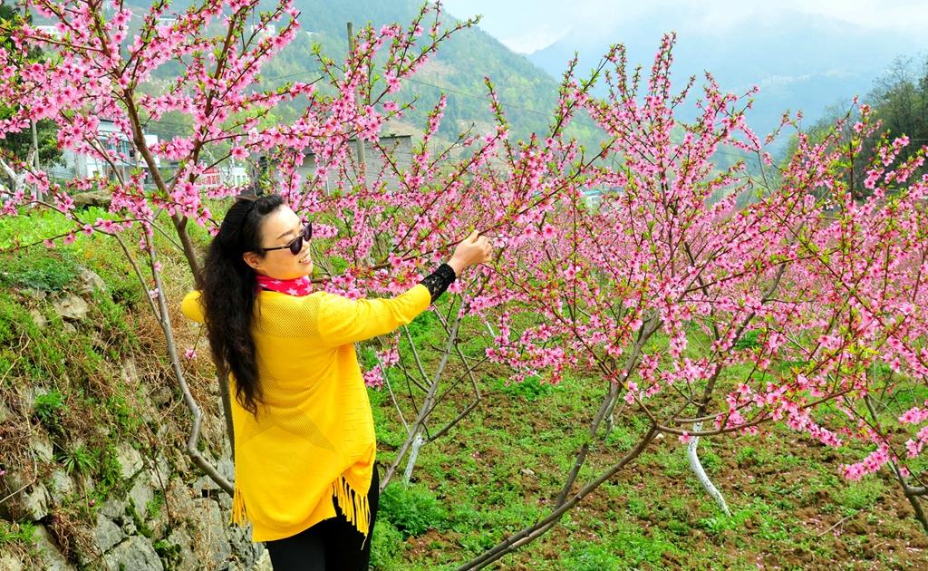 巫溪铁路最新消息,巫溪铁路最新消息与一段温馨的旅程