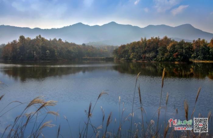 新余市高新区领导引领探寻自然美景，开启内心平静之旅