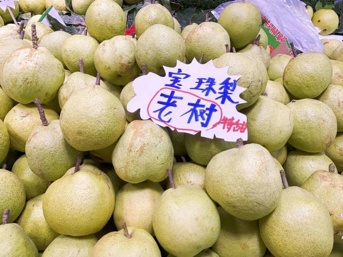 七叶树最新价格表，时代印记与地位的彰显